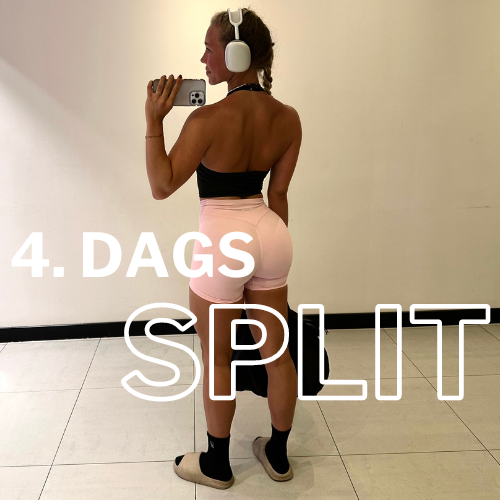 Full body 4 day split Consistency